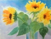  Sonnenblumen 