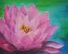 Seerose 2 Seerose 2