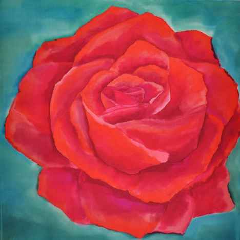 rote Rose rote Rose