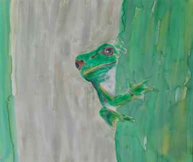 Frosch Frosch