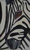 Zebra 1 Zebra 1