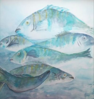  Fische 